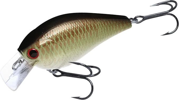LUCKY CRAFT LC 2.5 Silent Crankbait Fishing Lures, 2-3/8” Squarebill Crankbait, Bass Lures, Floating 4ft Depth Hard Bait, Champion Freshwater Fishing Gear and Tackle Box Accessories