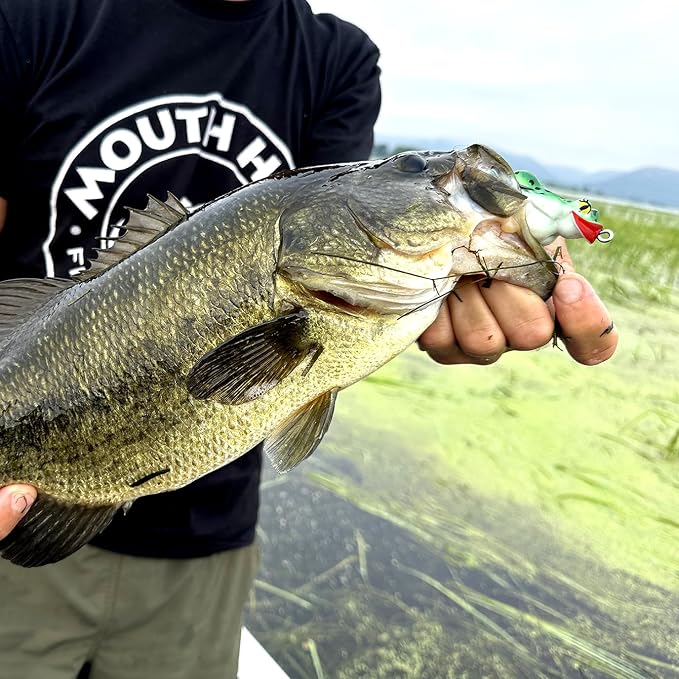 Ol’ Slumpy™ Topwater Frog (2-Pack) | Topwater frog lure