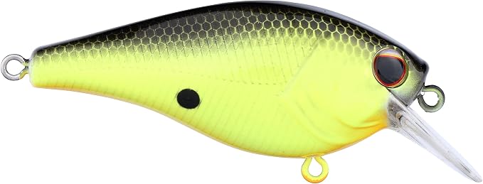 Berkley SquareBull Fishing Hard Bait