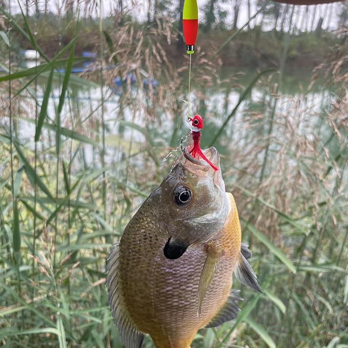 Weighted Bobbers for Fishing Floats EVA Foam Snap-on Fishing Bobbers for Crappie Bluegill Panfish Trout Catfish Bass 10 Packs