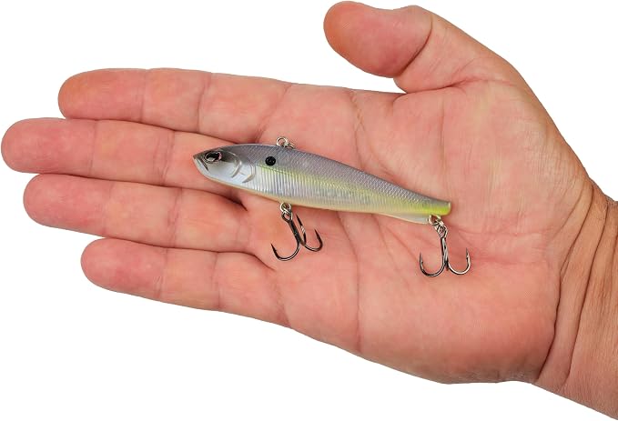 Berkley Ripfish