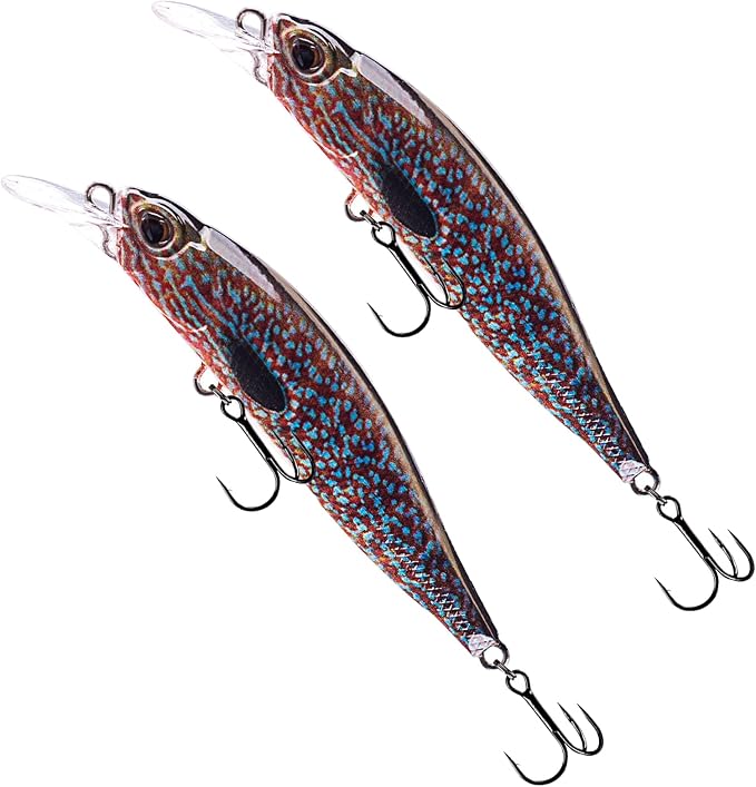 Glide Bait, Slow Sinking Swimbait, Topwater Hard Lures for Bass Catfish,Pike Perch, Freshwater or Saltwater