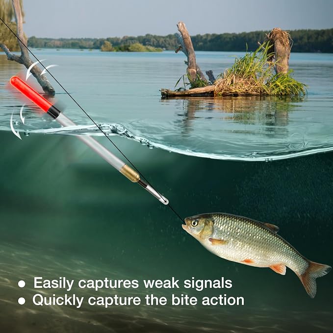 Realure 20 Pcs/5 Sizes Fishing Floats Set 11/13/15/17/19 cm Fishing Tackle Wagglers Straight Insert Fishing Pipe Transparent Coarse Tube for Deep Water Sea Fishing Bait Suspend in Target Water Layer
