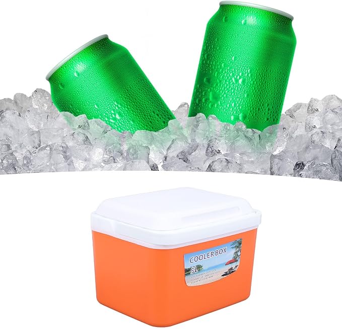 Large 5L Insulated Cooler Box Portable Ice Box for Travel Camping Picnic Fish, Insulated Cooler Box Hard Case Keeps Food Freshness and Drink Cool