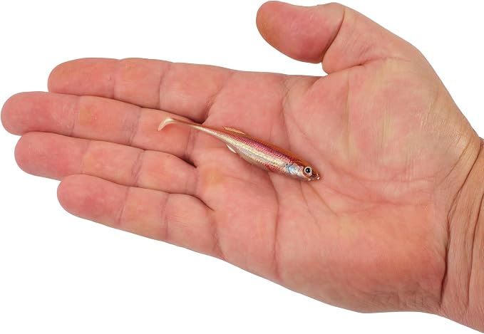 Berkley PowerBait Drip Swimmer Fishing Soft Bait