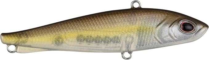 Berkley Ripfish