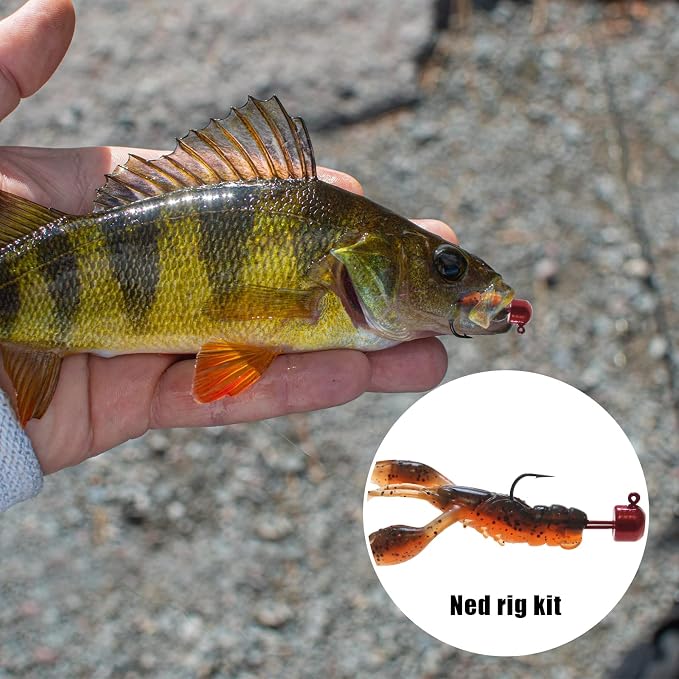 Soft Plastic Crawfish Lures Kit with Jig Heads, 25pcs/60pcs Creature Baits Fishing Lure Set for Bass Trout Pike Freshwater Fishing
