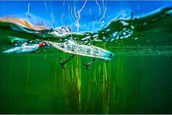 Berkley Cane Walker