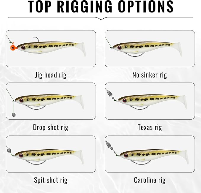 TRUSCEND Shadtale Easy Catch Soft Fishing Lures, Unique Vibration and Action for Various Rigs, Paddle Tail Swimbaits Trailer for Bass, Trout, Crappie, Walleye, Redfish, Saltwater & Freshwater Fishing