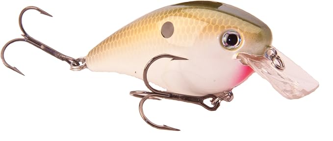 Strike King KVD Square Bill