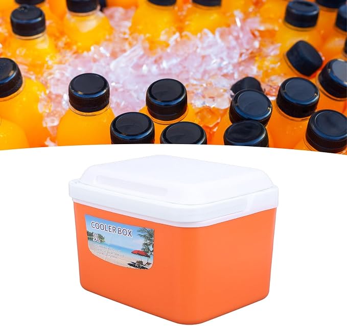 Large 5L Insulated Cooler Box Portable Ice Box for Travel Camping Picnic Fish, Insulated Cooler Box Hard Case Keeps Food Freshness and Drink Cool