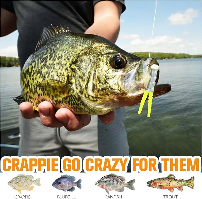 Dovesun Crappie Lures Kit Fishing Soft Plastic Lures Crappie Walleye Trout Bass Fishing Baits Fishing Grub Worms Minnow Paddle-Tail Split-Tail Grub Swimbaits 50-100Pcs with Tackle Box