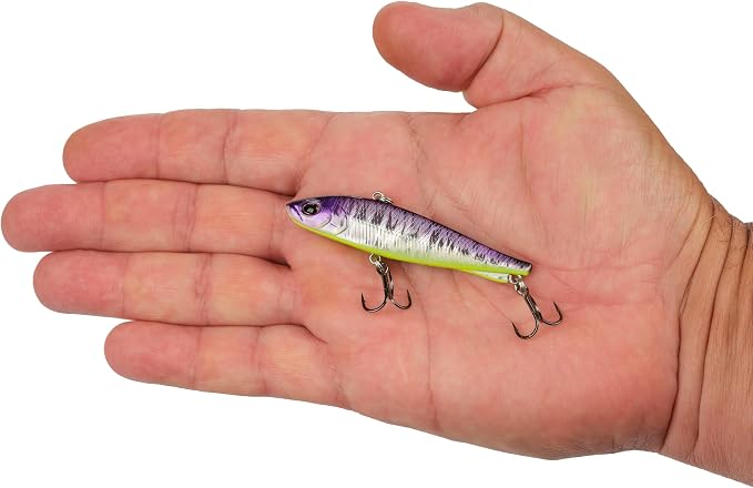 Berkley Ripfish