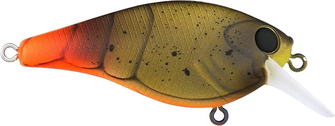 Berkley SquareBull Fishing Hard Bait