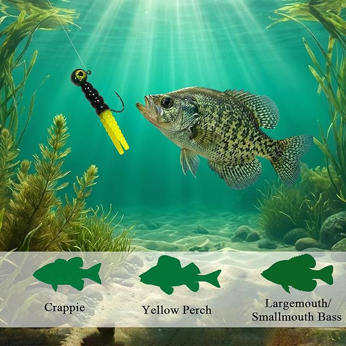 Crappie Jig Heads Kit, 45/50-Pack, 1/32oz, 1/16oz, 1/8oz, 5 Colors Fishing Jigs for Bass, Walleye, Panfish Freshwater Fishing