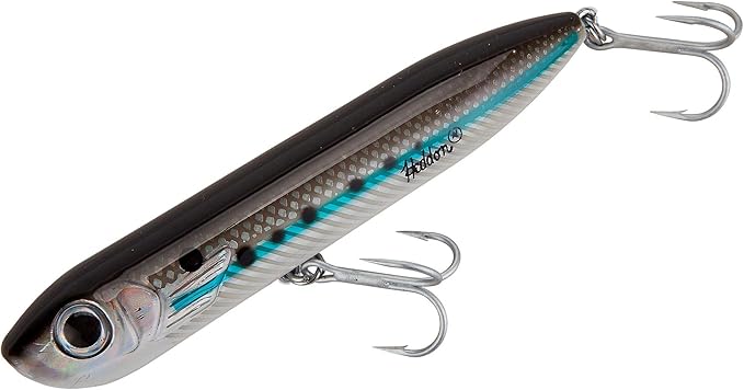 Heddon Chug'N Spook Popper Topwater Fishing Lure for Saltwater and Freshwater