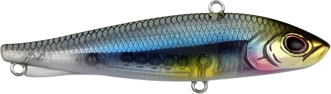 Berkley Ripfish