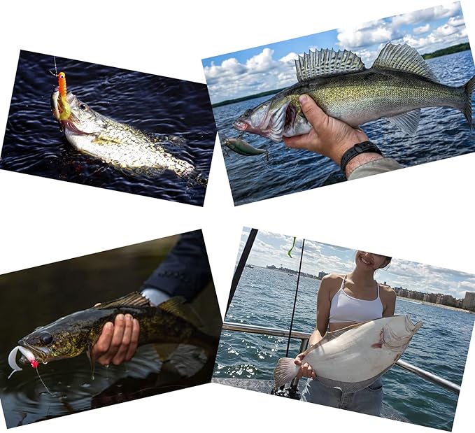 Carolina Rigs for Fishing- 12 Inch Steel Fishing Leaders with Fishing Weight, Pre Rigged Carolina Rigs with Fishing Weight 1/6oz, 1/4oz, 1/2oz, 10 Pcs