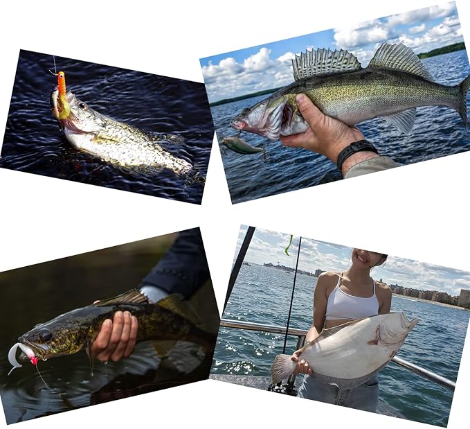 50lb 100% Fluorocarbon Fishing Leaders, 10/20 Pcs, Saltwater/Freshwater, 20in Fluorocarbon Leader line with Swivel and Snap