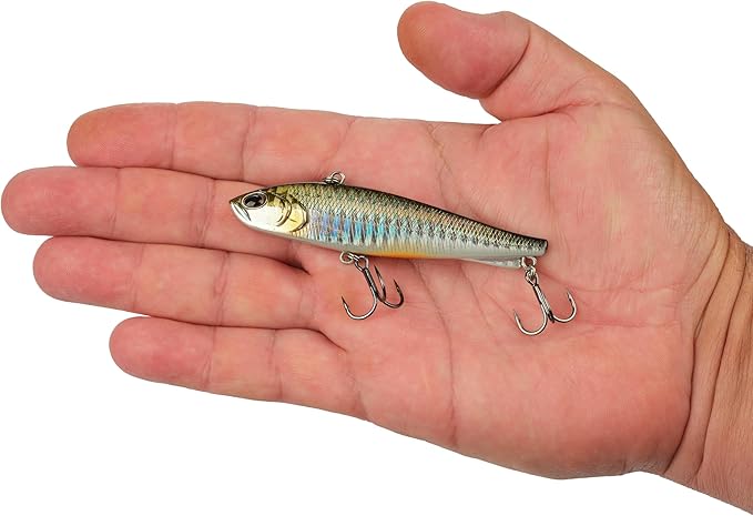 Berkley Ripfish