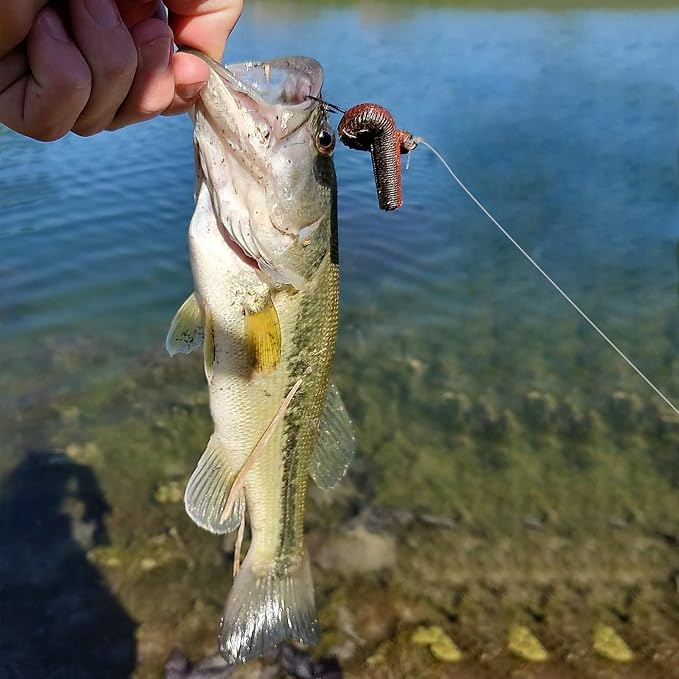 Soft Plastic Worm Fishing Lures Kit, Finesse TRD Stick Worms and Ned Rig Baits with Jig Heads for Bass Fishing, Freshwater Bass Soft Baits