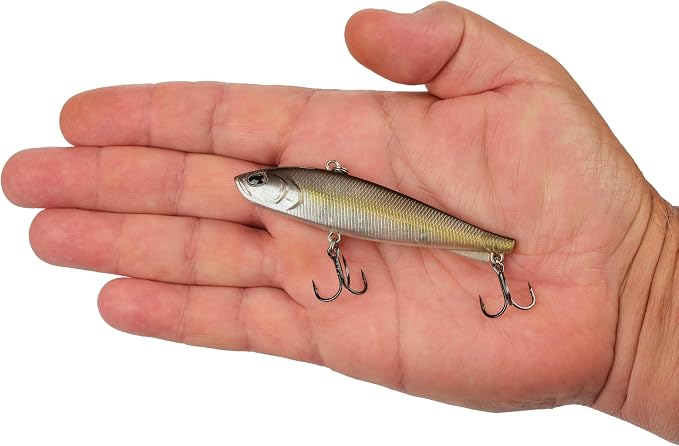 Berkley Ripfish