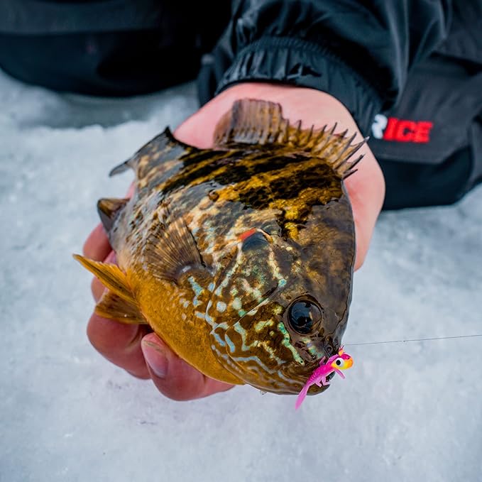Northland Fishing Tackle Impulse Rigged Tungsten Bloodworm Jig for Ice Fishing Panfish, Assorted Sizes and Colors