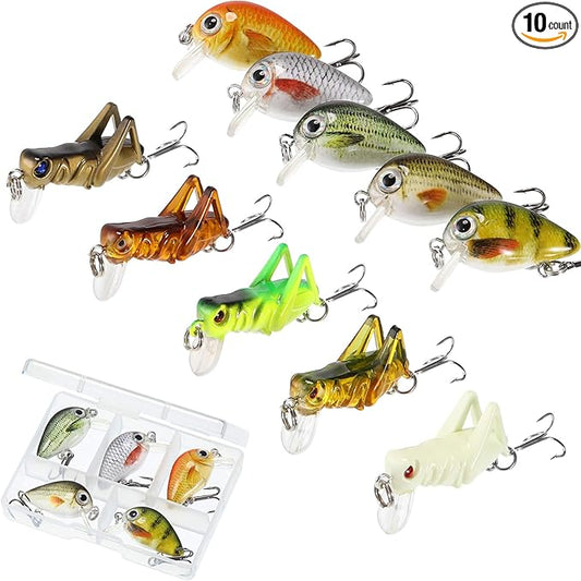 Skylety 10 Pieces Mini Fishing Lures Fishing Hard Baits Hooks Crankbaits Lures Baits Topwater for Freshwater Saltwater Trout Bass Perch with Box