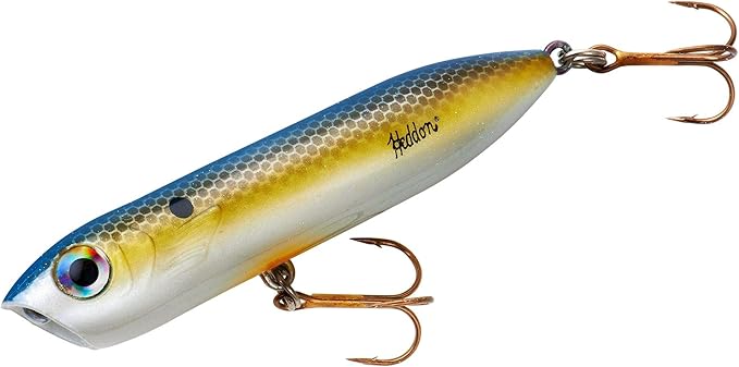 Heddon Chug'N Spook Popper Topwater Fishing Lure for Saltwater and Freshwater