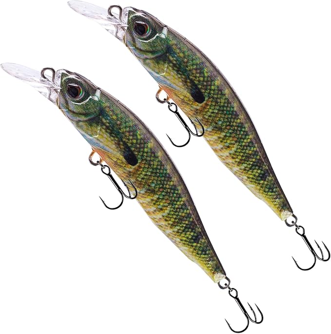 Glide Bait, Slow Sinking Swimbait, Topwater Hard Lures for Bass Catfish,Pike Perch, Freshwater or Saltwater