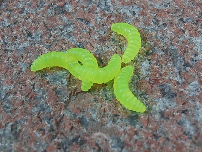 Toasis Artificial Fishing Waxworm Soft Plastic Grub Silicone Larva Wiggler Lure Baits Assorted Colors
