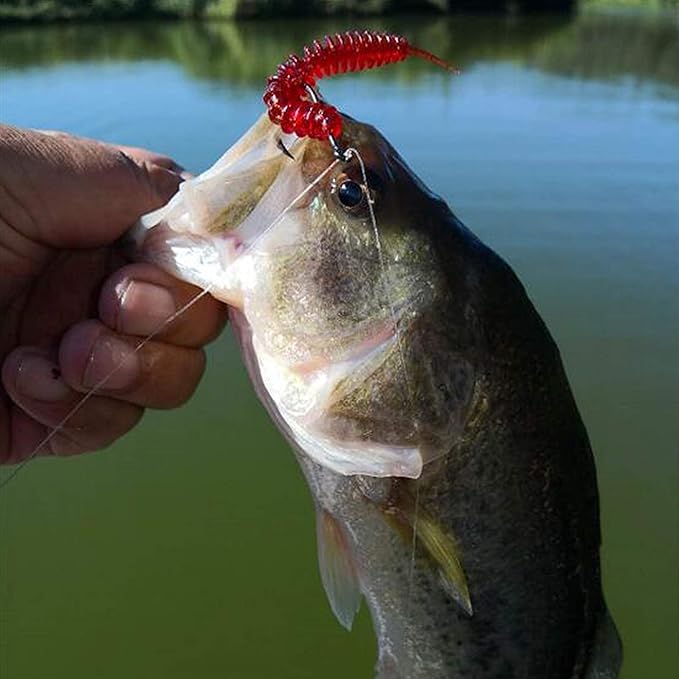 RUNCL Anchor Box - Paddle Tail Swimbaits, Soft Jerk Baits, 20/40/50/60pcs Soft Fishing Lures, Curved Tail Grubs - 3D Lifelike Eyes, Split/Boot/Curved/Straight/Thin Tail - 1/2/3/4/5in, Proven Colors