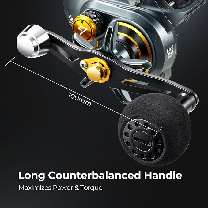 Piscifun Alinox 300 Baitcaster Fishing Reel,Aluminum Frame Baitcasting Reel, 33Lbs Max Drag, Freshwater & Saltwater Low Profile Casting Reel for Musky, Available in 6.6:1/8.1:1 Gear Ratio