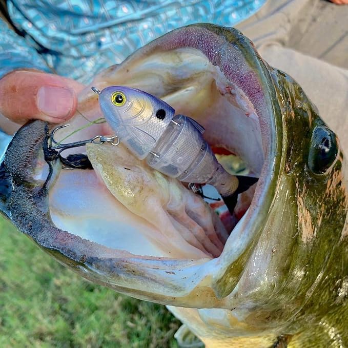 Catch Co Mike Bucca Baby Bull Shad Swimbait 3.75" 1/2 oz