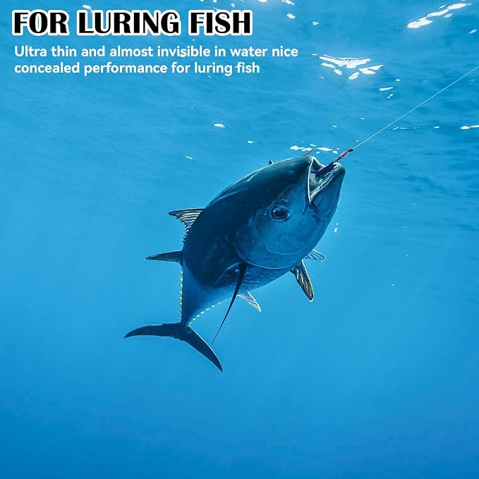2 Pcs Fishing Thread, Invisible Fishing Bait Elastic Thread Clear Fishing String 0.2mm Length 656 Feet Per Spool Stretchy Fishing Line for Salmon Sturgeon Bass