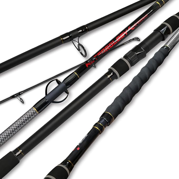 Fiblink Surf Fishing Rod 2 Piece/3 Piece Portable Travel Spinning Rod Saltwater Surf Rod (9'/10'/10'6"/12')