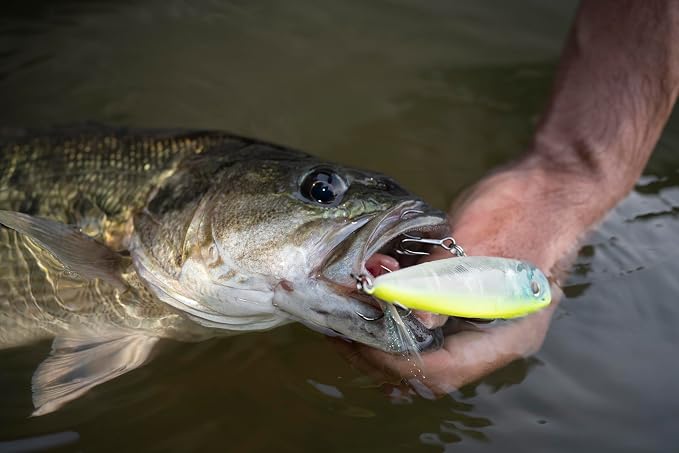 Berkley Choppo Topwater Fishing Lure, MF Shad, Size 105, Cupped Propeller Tail for Balance of Sound and Spray, Equipped with Sharp Fusion19TM Hook
