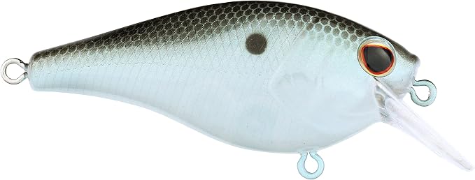 Berkley SquareBull Fishing Hard Bait