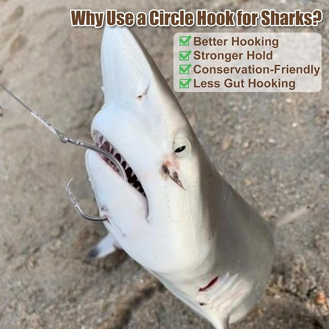 2 Pack Pre-Tied Shark Fishing Hook Rigs Heavy Duty Stainless Leader Wire and Big Game Circle Hooks 14/0 16/0 18/0 Ideal for Deep Sea Fishing Shark Tuna Halibut