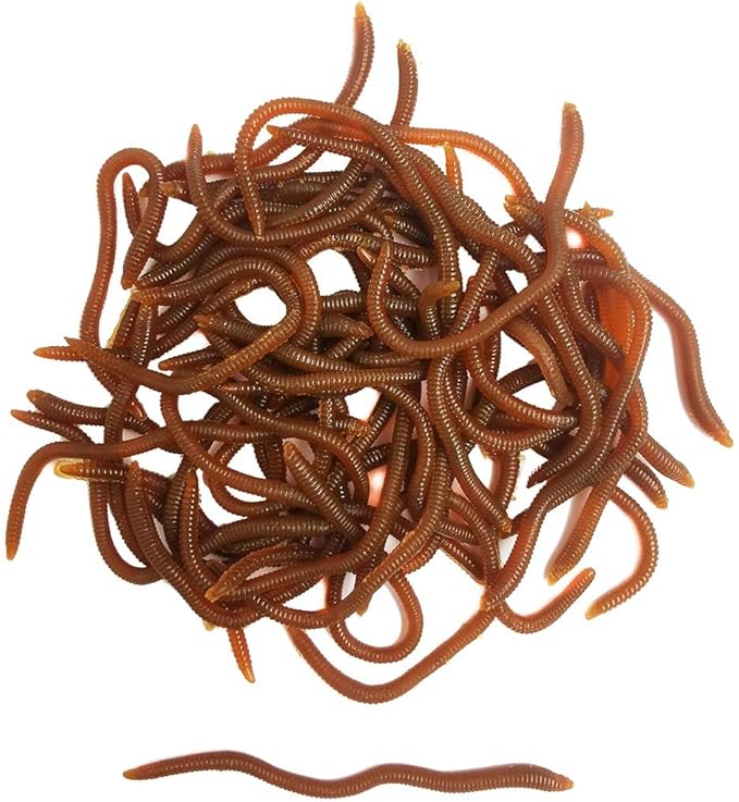 1.6in/3.3/3.9in Fishing Soft Lure Trout Worm Earthworm Bait Lifelike Fake Bloodworm Grub Worm Soft Fishing Lure Baits