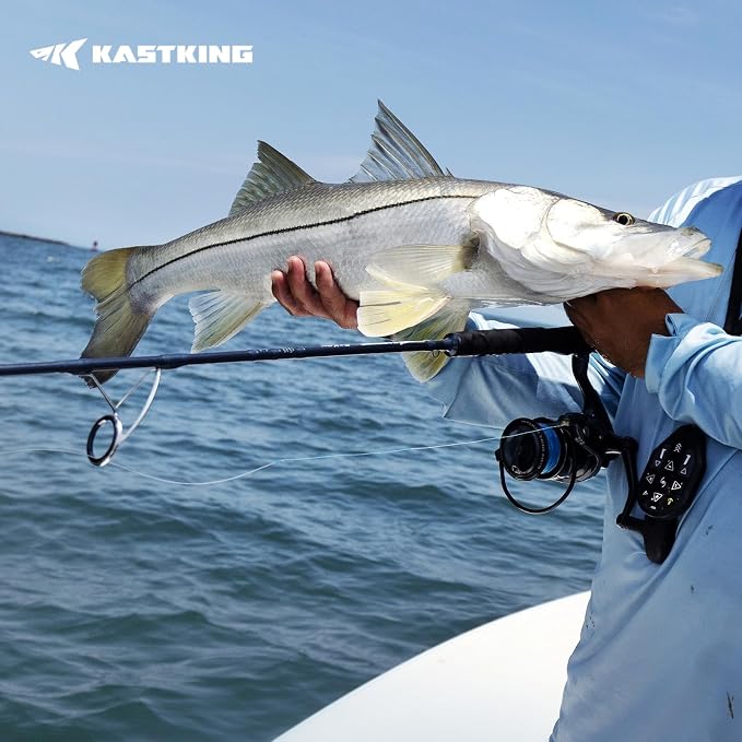 KastKing ReKon Saltwater Spinning Rod, KastFlex IM6 Carbon Graphite Blank, Zirconium Ceramic Guides, Graphite Locking Reel Seat, Oversized Drop Shot Hook Keeper, 2-Piece PTS, Saltwater Fishing