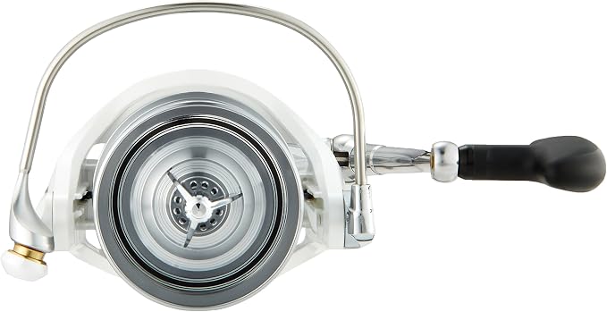 Daiwa WINDSURF35 Spinning Reel (Throwing/Long Cast) 17 Windsurf (2017 Model)