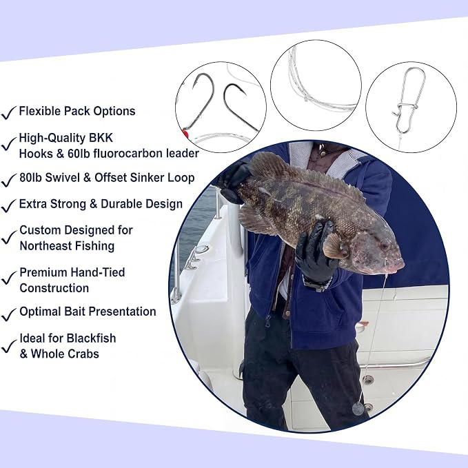 10 Pcs Saltwater Fishing Rigs Fishing Leader Hooks Fish Line Nylon Wire with Hook Gear and Equipment Tackle Kit for Saltwater Bass/Grouper Fish