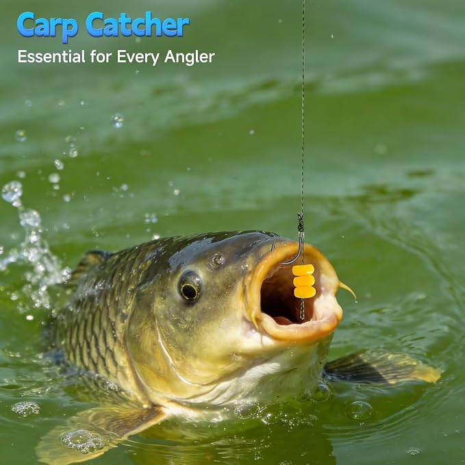 65/215PCS Carp Fishing Rig Kit Hair Rigs Carp Bait Fishing Equipment Accessories #2#4#6#8