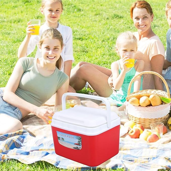 Large 5L Insulated Cooler Box Portable Ice Box for Travel Camping Picnic Fish, Insulated Cooler Box Hard Case Keeps Food Freshness and Drink Cool