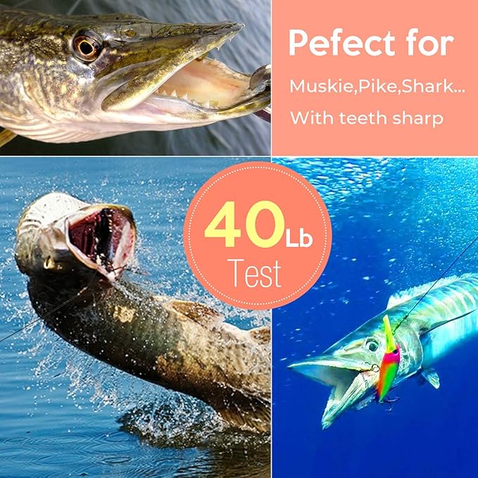 Fishing Leaders, Fish Line Stainless Steel Wire with Swivels Snap Connect Fishing Gear and Equipment Tackle Kit, for Lures Bait Rig Or Hooks, Fishing Gift