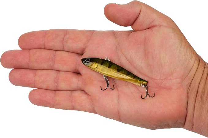 Berkley Ripfish
