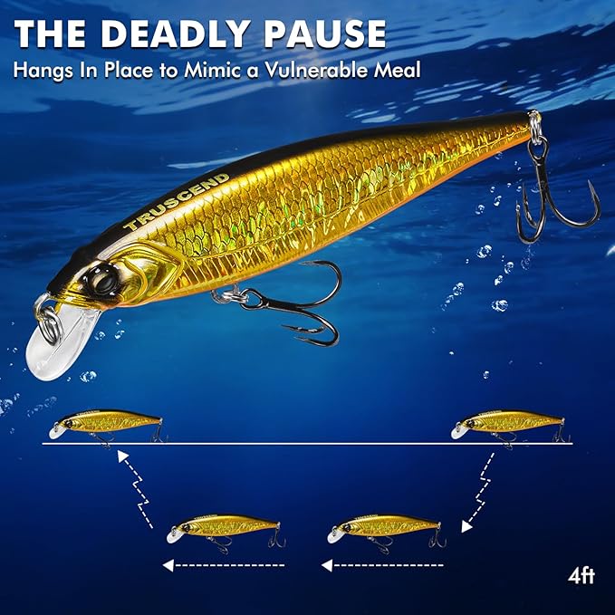 TRUSCEND Suspending Jerkbait, Rattle Minnow Lures with BKK Hooks, Freshwater Bass Trout Striper Walleye Pike Fishing Lures, Variety Pack for All Water Conditions, Premium Fishing Gear and Gifts