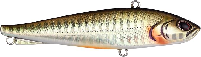 Berkley Ripfish