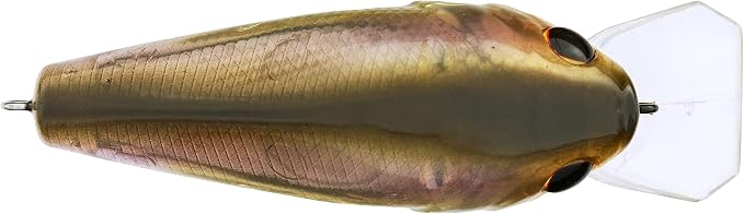 Berkley SquareBull Fishing Hard Bait
